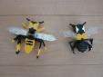 ハチの標本（オオスズメバチとクマバチ）