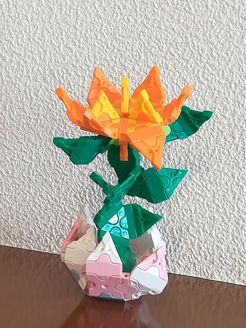 雪解けの一輪の花